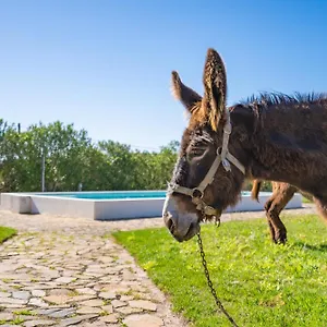  Alloggio per agriturismo Burro Portogallo