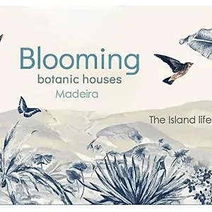 Blooming Botanic Holiday home Estreito Da Calheta